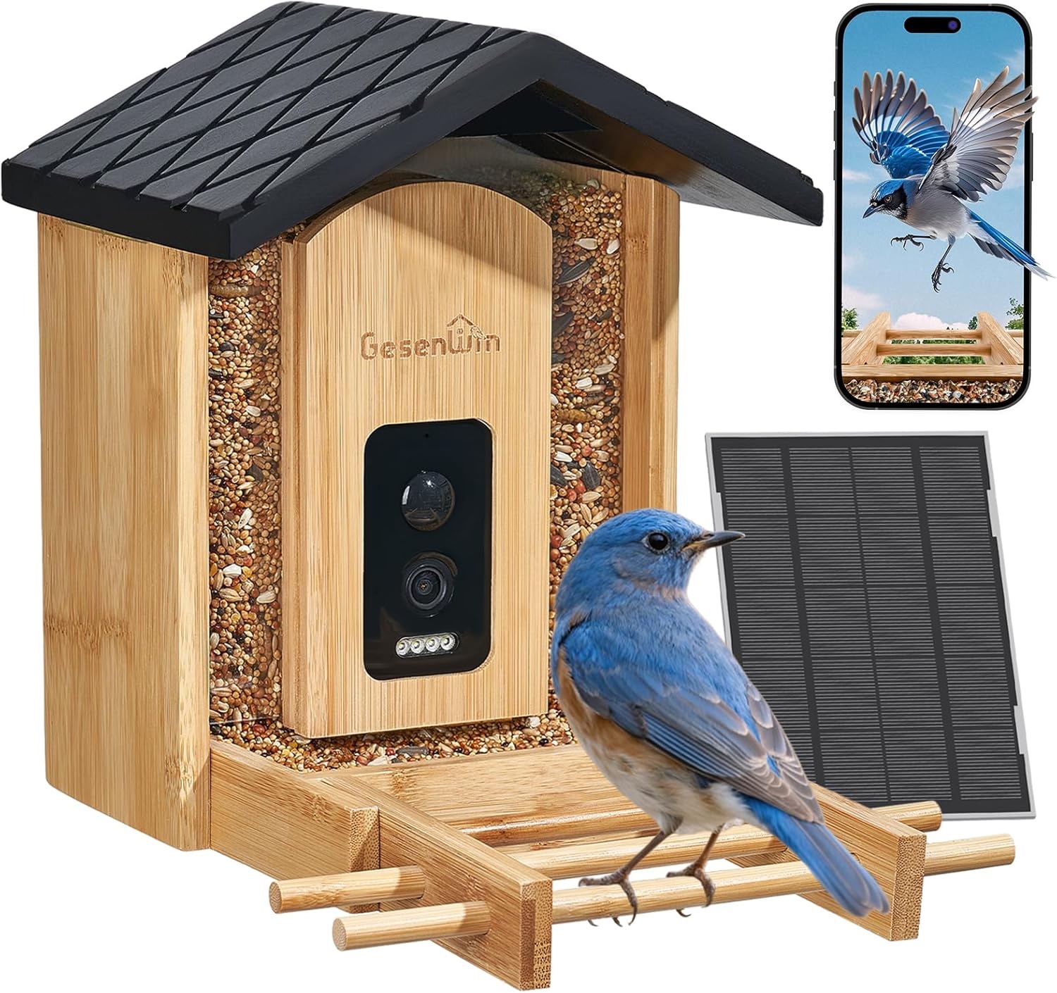 Smart Bird Feeder Camera with AI