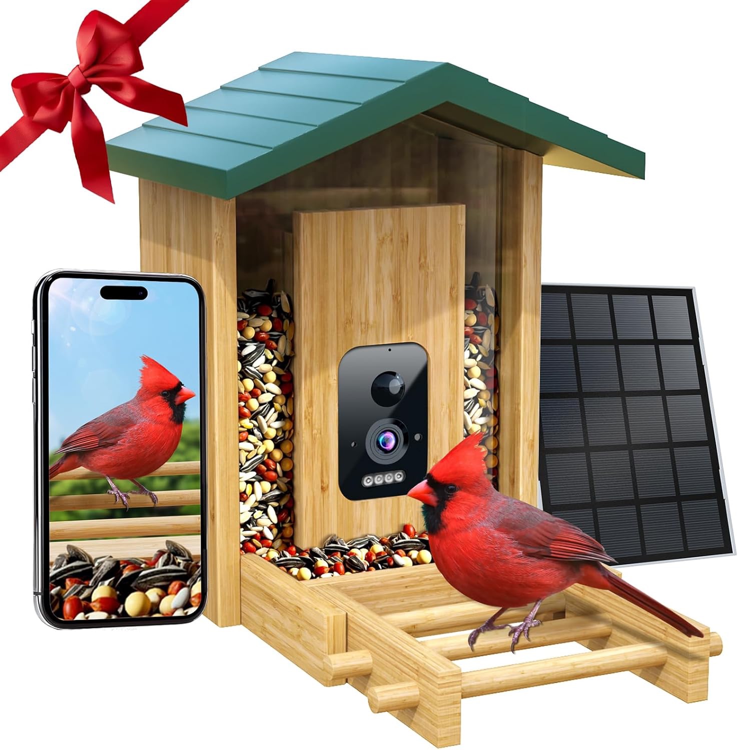 Solar-Powered Bird Feeder Camera