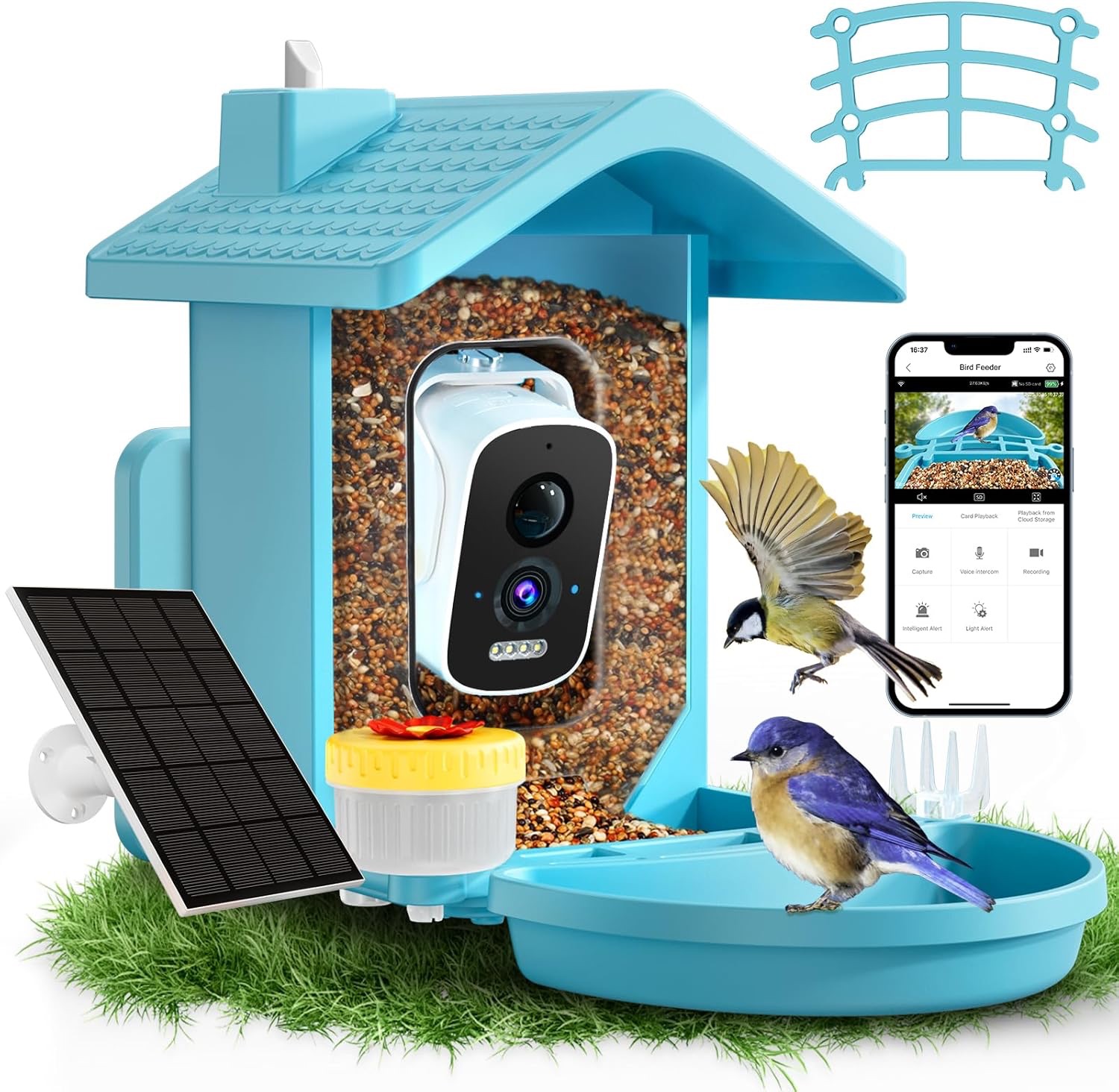 Solar Bird Feeder Camera – Species ID