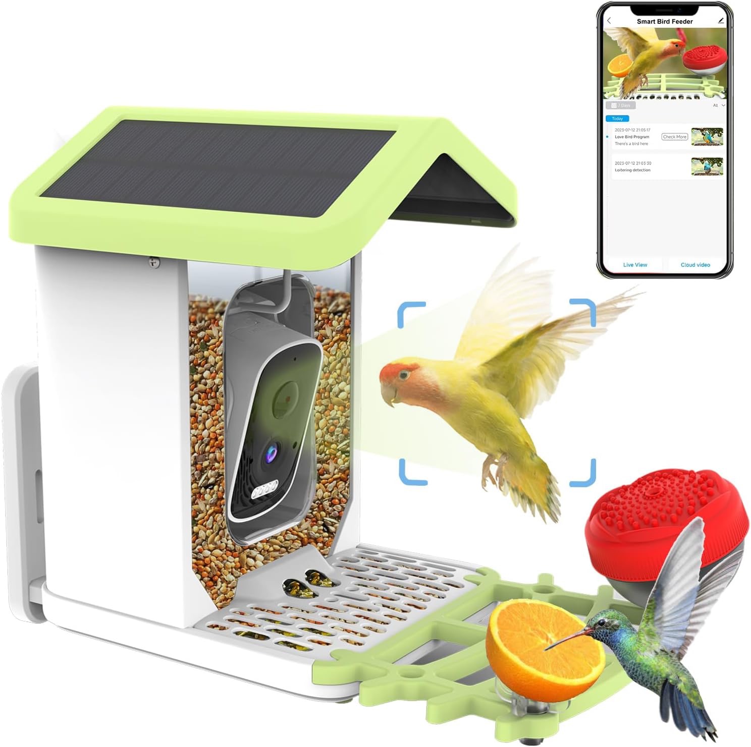 Bird Feeder Camera – Instant Detection