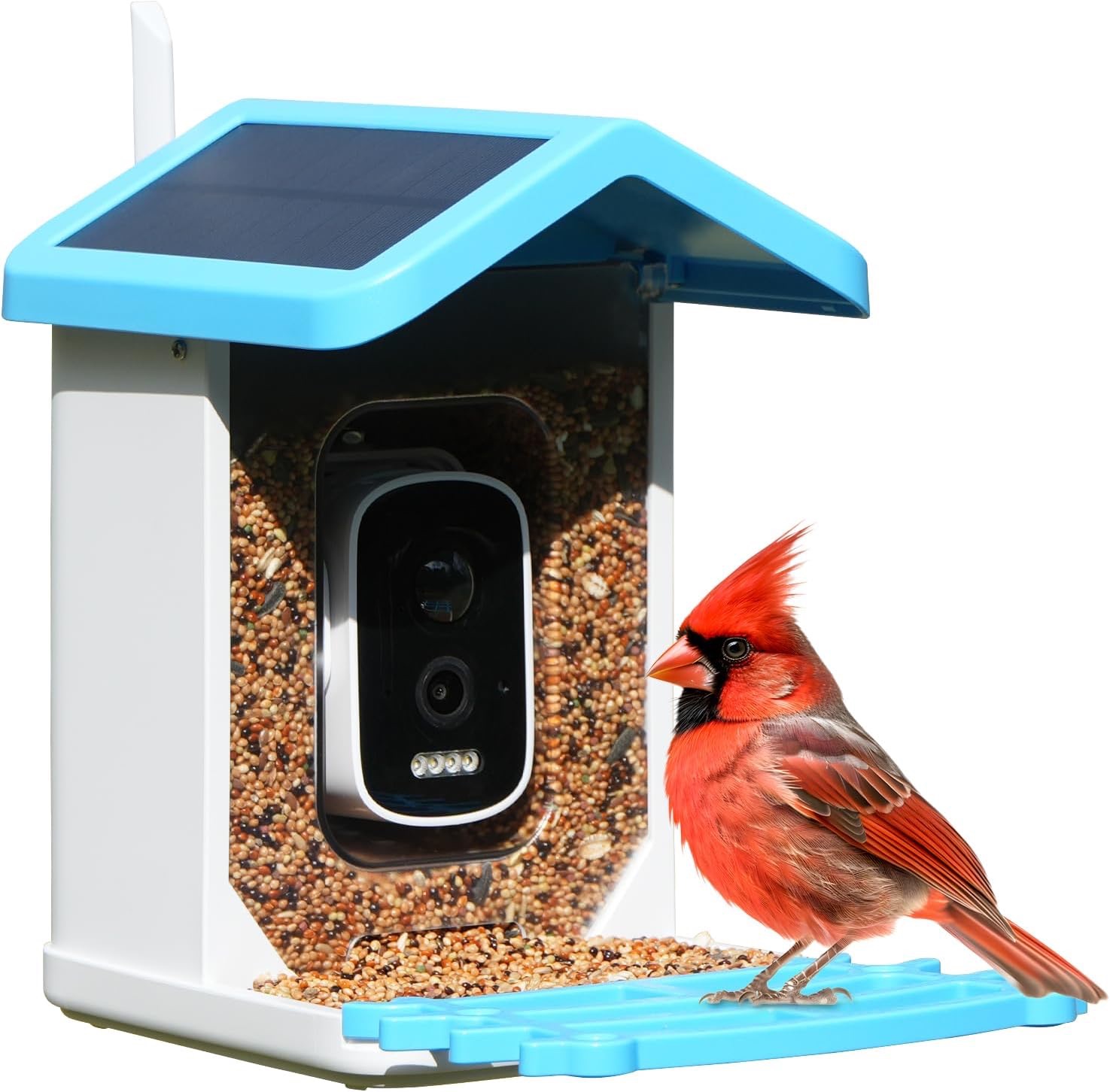 Smart Bird Feeder Camera